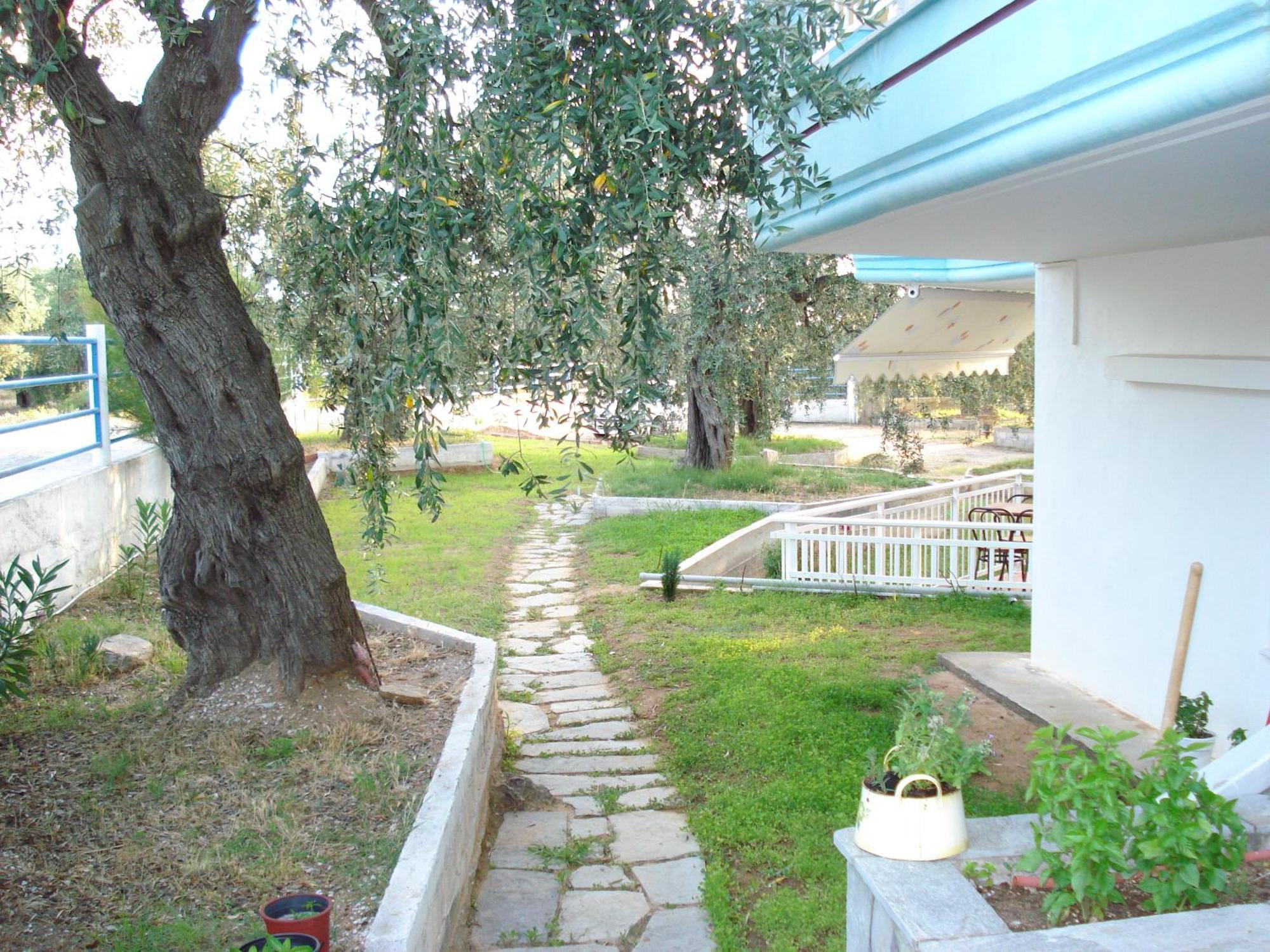 Panagiotis Hotel Skala Sotiros Dış mekan fotoğraf